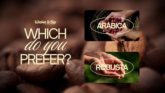 Arabica vs Robusta: The Coffee Bean War Explained
