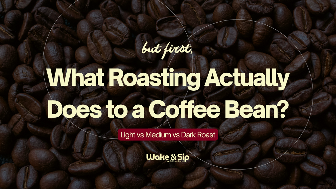 Light vs Medium vs Dark Roast: Which One Are You, Really?