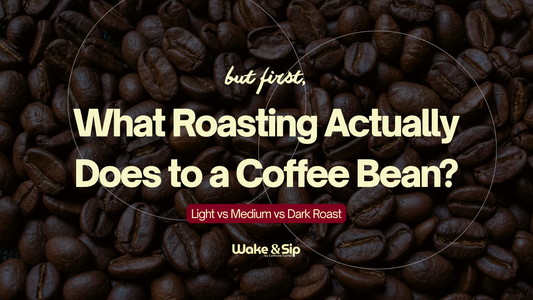 Light vs Medium vs Dark Roast: Which One Are You, Really?